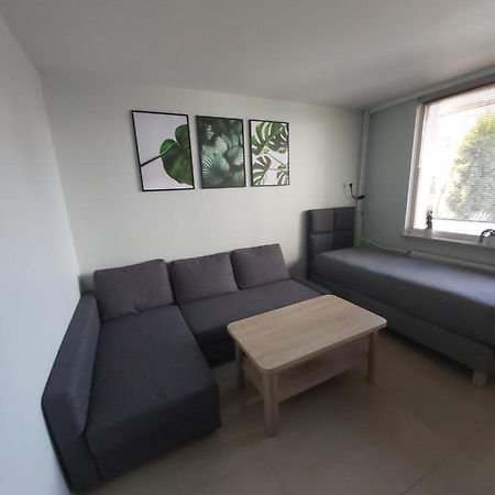 Apartament Z Ogrodem Tychy Διαμέρισμα Εξωτερικό φωτογραφία