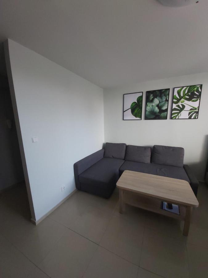 Apartament Z Ogrodem Tychy Διαμέρισμα Εξωτερικό φωτογραφία