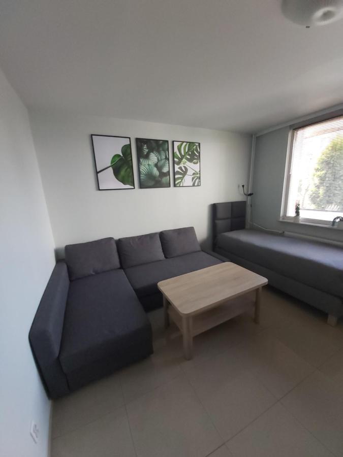 Apartament Z Ogrodem Tychy Διαμέρισμα Εξωτερικό φωτογραφία